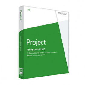 Project Pro 2013